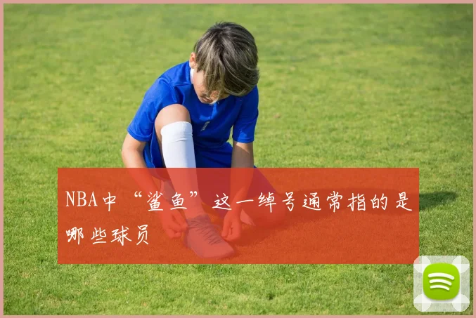 NBA中“鲨鱼”这一绰号通常指的是哪些球员