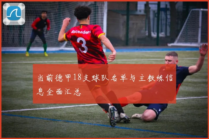 当前德甲18支球队名单与主教练信息全面汇总