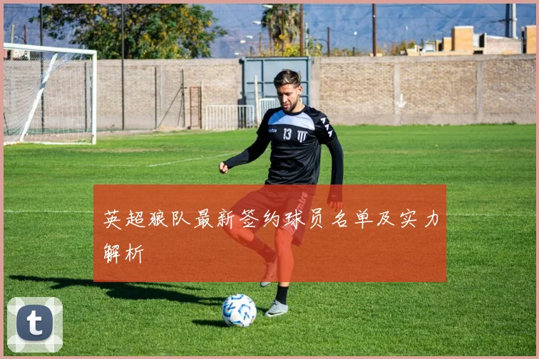 英超狼队最新签约球员名单及实力解析