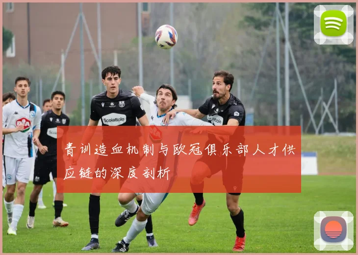 青训造血机制与欧冠俱乐部人才供应链的深度剖析