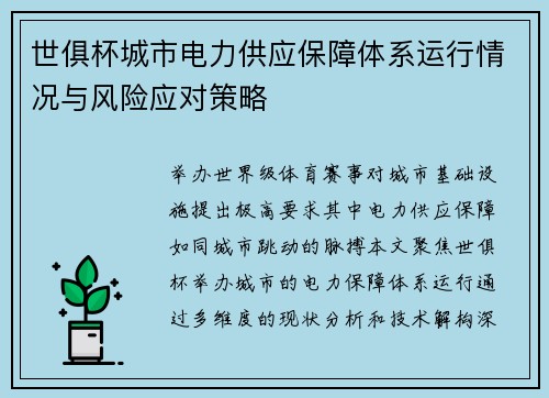 世俱杯城市电力供应保障体系运行情况与风险应对策略